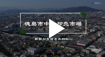 市場PR動画