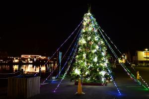 アクアチッタクリスマスツリーの様子の写真