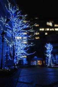 徳島文理大学（徳島キャンパス）内でのイルミネーションを点灯している様子の写真（別角度）