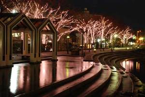 新町川水際公園の夜の様子の写真