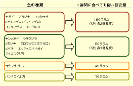 魚介類に含まれる水銀について