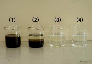 4段階で水質を比較した写真