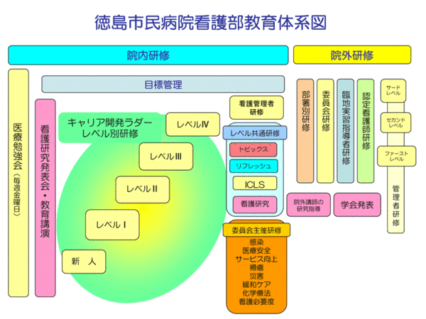 徳島市民病院看護部教育体系図