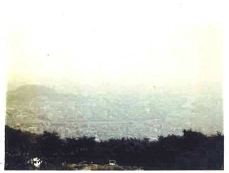 昔の眉山から徳島市を見た風景写真
