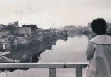 橋の上から景色を眺める女性の写真