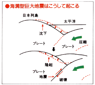 海溝型地震のしくみの説明図