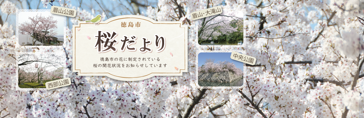 徳島市桜だよりのページにリンク