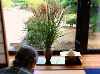 ススキとお団子の写真