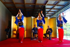 阿波踊りライブ「華麗なる技の競演」