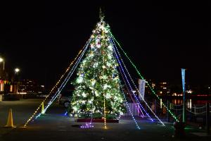 アクアチッタクリスマスツリーの様子の写真