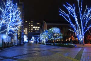 徳島文理大学（徳島キャンパス）内でのイルミネーションを点灯している様子の写真