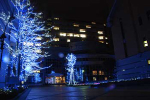 徳島文理大学（徳島キャンパス）内でのイルミネーションを点灯している様子の写真（別角度）