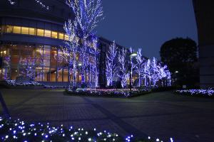 徳島文理大学の木々に装飾したLEDイルミネーションの別角度の写真