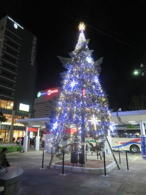 徳島駅前広場東側の徳島バスターミナル横のツリーの写真
