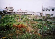 名東けんこう農園の写真です。
