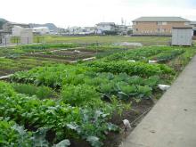 論田さわやか農園の写真です。