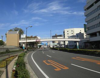 藍場町1丁目歩道橋の写真