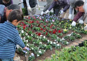 花が植えられた花壇の写真