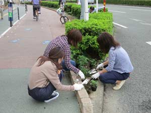 花植えの様子の写真2