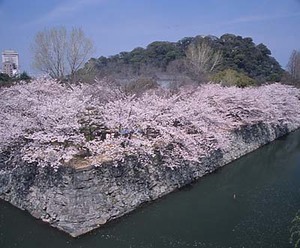 徳島中央公園 徳島市公式ウェブサイト