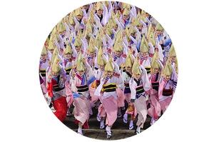 阿波おどり画像