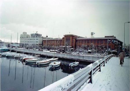 徳島県庁旧庁舎全景冬景色の写真