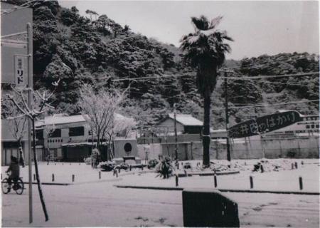 冬のモラエス像周辺の写真